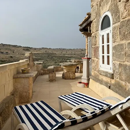 Traditional Maltese By Ma